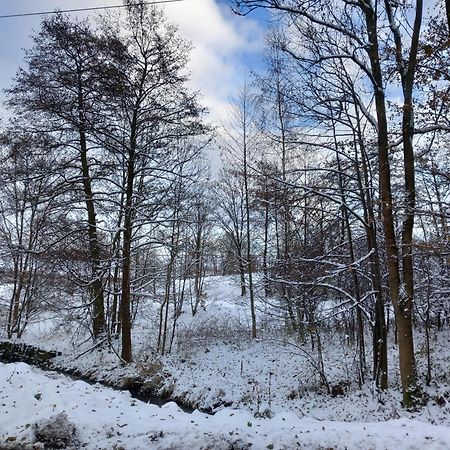 Szewska Pasja Agroturystyka Wiejska Lesna  Bagian luar foto