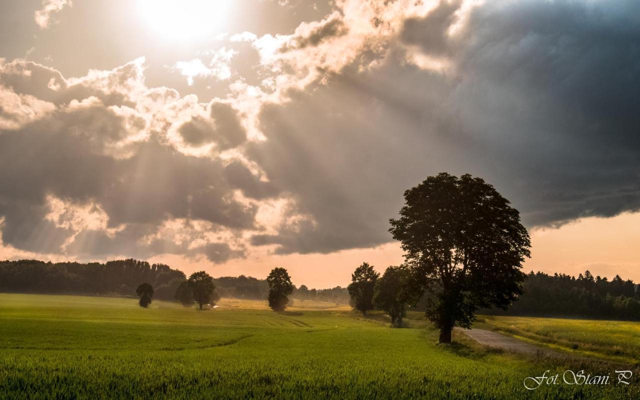 Szewska Pasja Agroturystyka Wiejska Lesna  Bagian luar foto