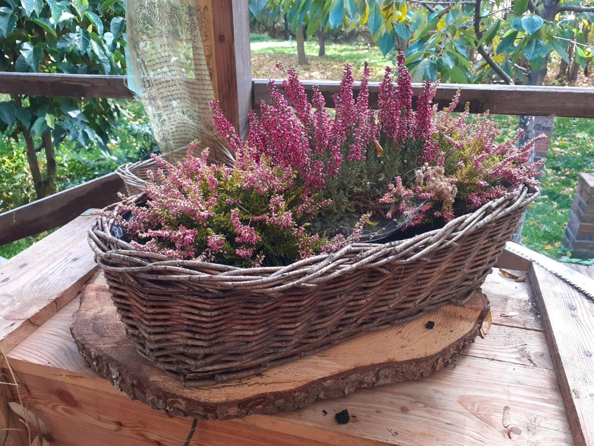 Szewska Pasja Agroturystyka Wiejska Lesna  Bagian luar foto