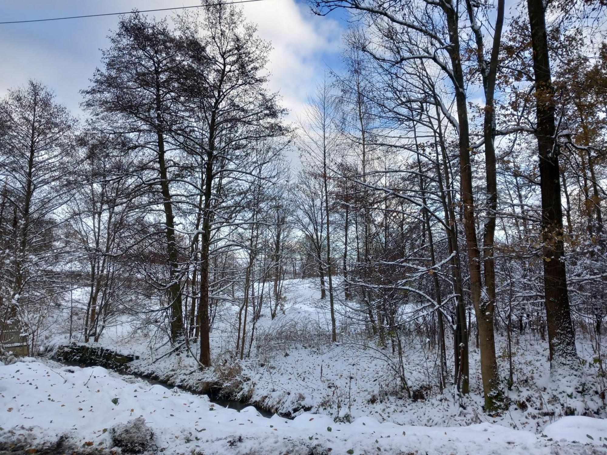 Szewska Pasja Agroturystyka Wiejska Lesna  Bagian luar foto