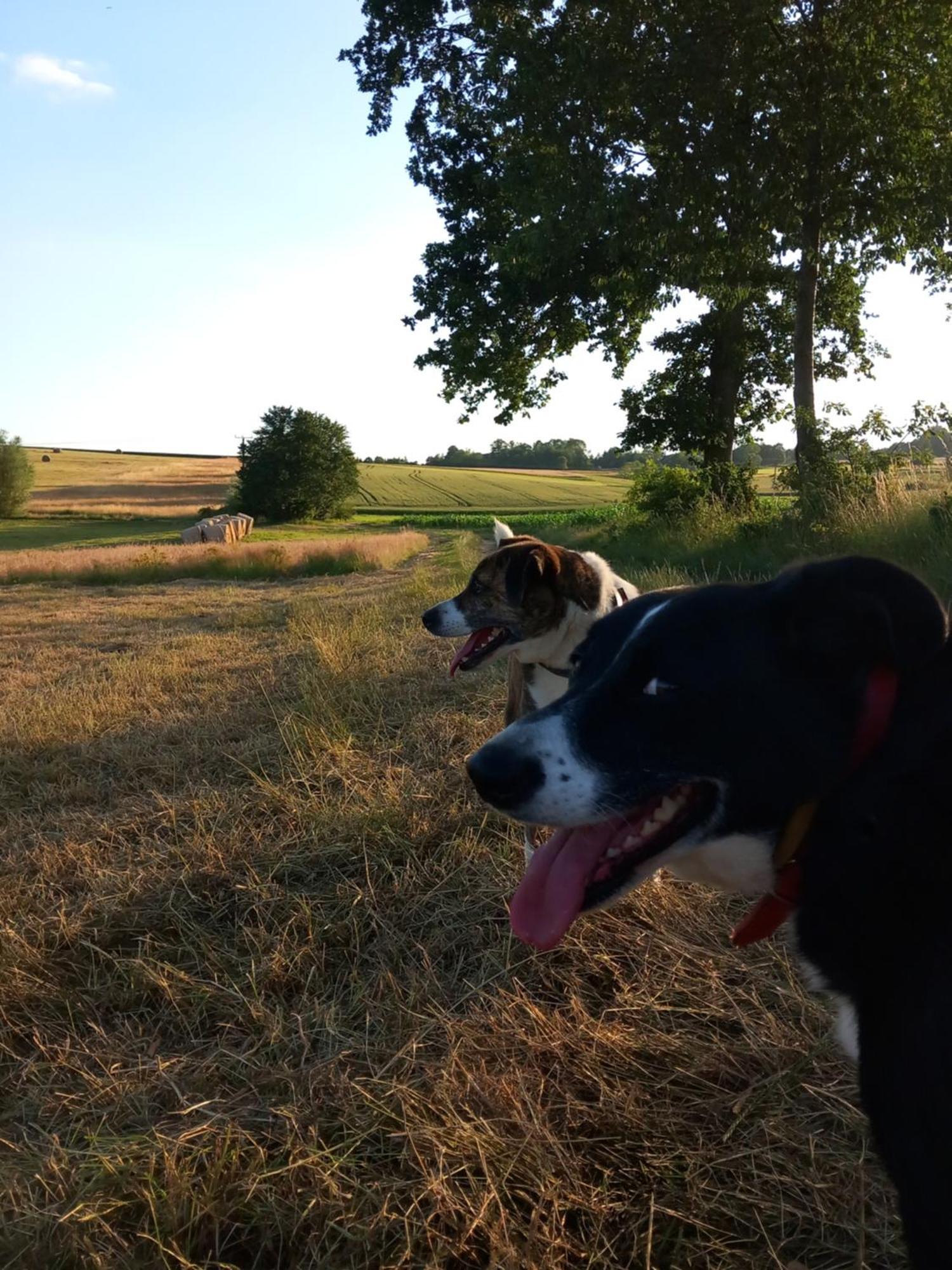 Szewska Pasja Agroturystyka Wiejska Lesna  Bagian luar foto