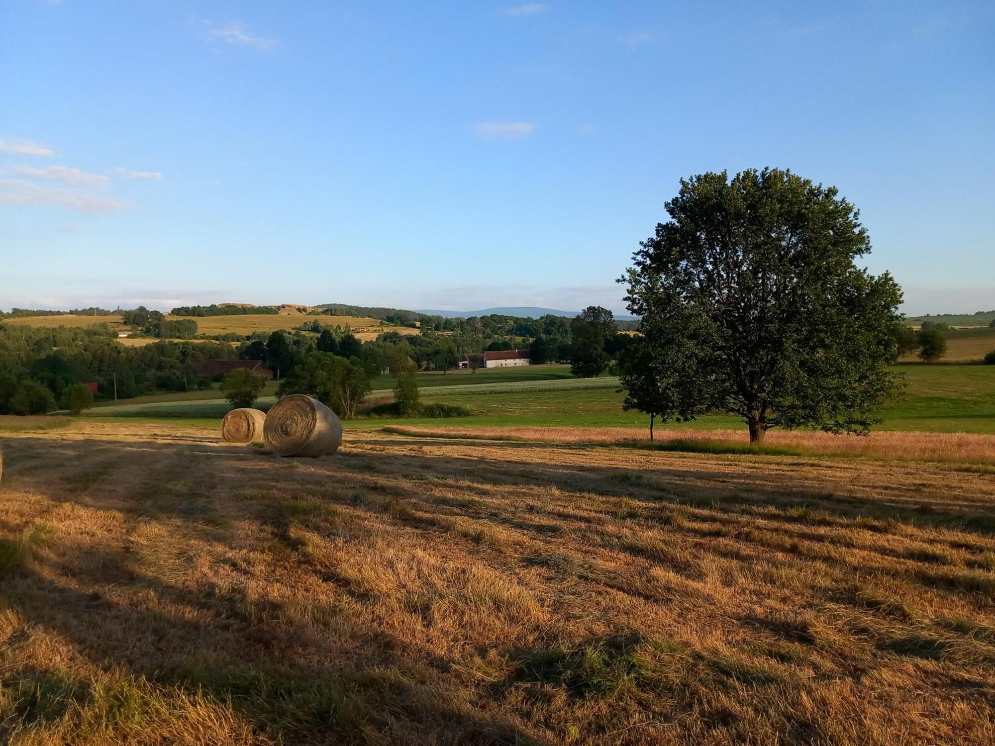 Szewska Pasja Agroturystyka Wiejska Lesna  Bagian luar foto
